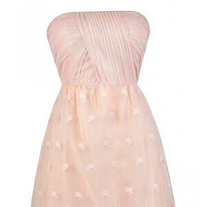 Dainty Embroidery Strapless Mesh Pale Pink Party Dress